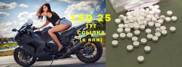 PSILOCYBIN Покров