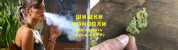 PSILOCYBIN Покров
