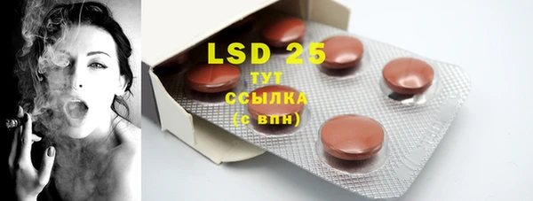 PSILOCYBIN Покров