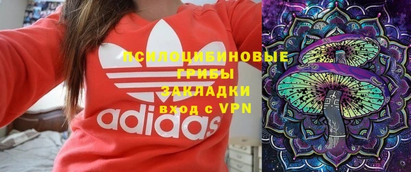 PSILOCYBIN Покров