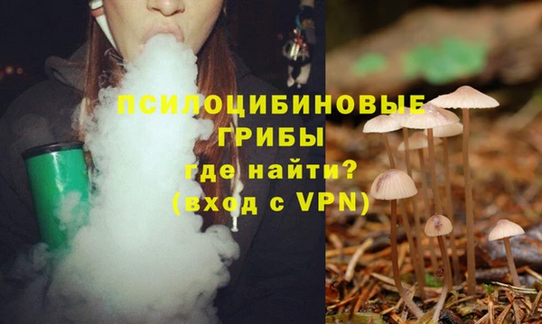 МДПВ Покачи