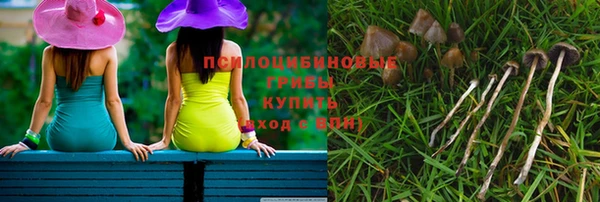 PSILOCYBIN Покров